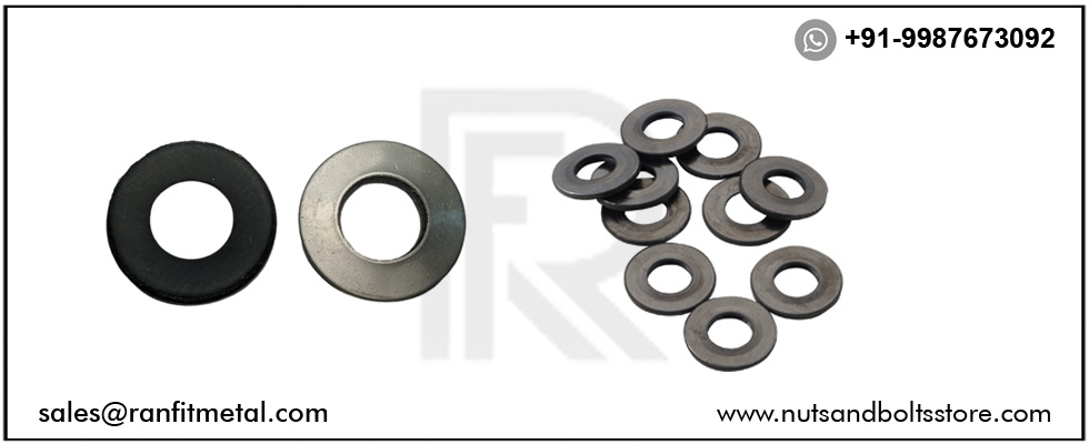SS Sealing Washer